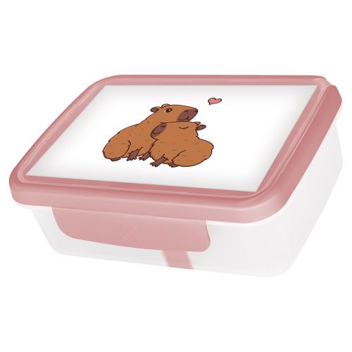 Zdravá sváča box Kapybary