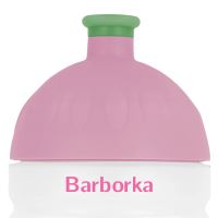 Zdravá lahev Pohádkové víly 0,5l N